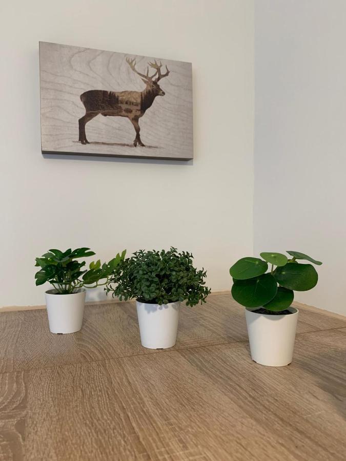 Koblenz City Rooms, Wifi, Netflix Экстерьер фото